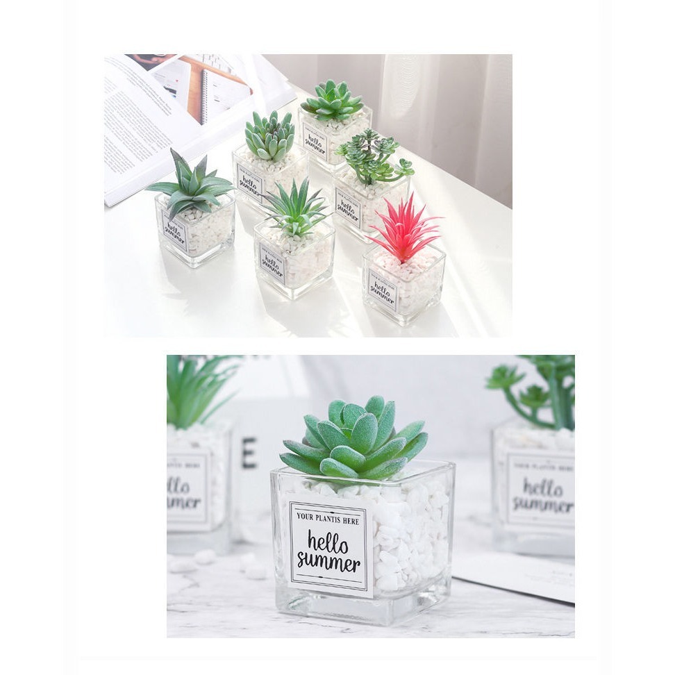 仿真多肉仙人掌創意盆栽裝飾綠色假花辦公室桌面小擺件-細節圖5