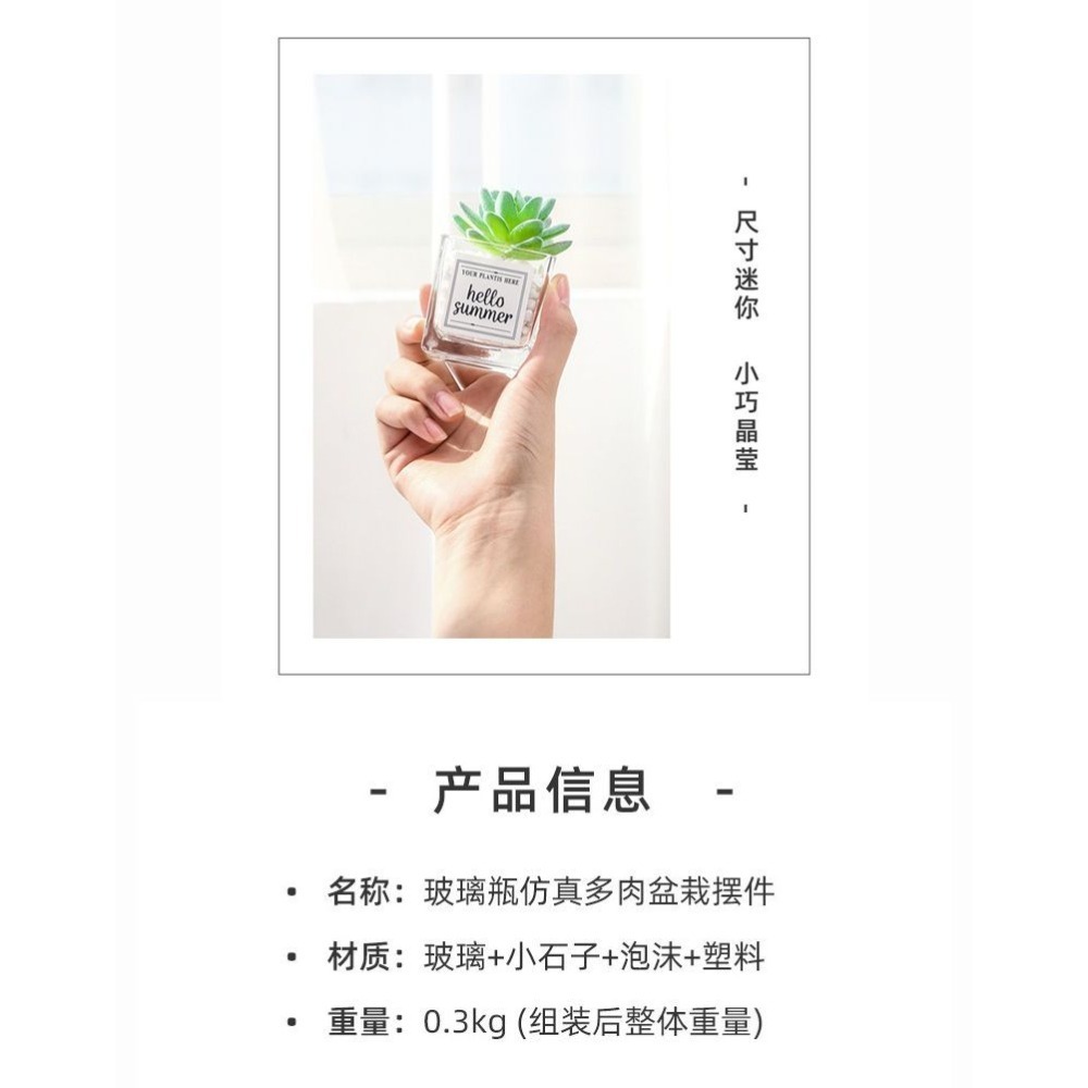 仿真多肉仙人掌創意盆栽裝飾綠色假花辦公室桌面小擺件-細節圖7