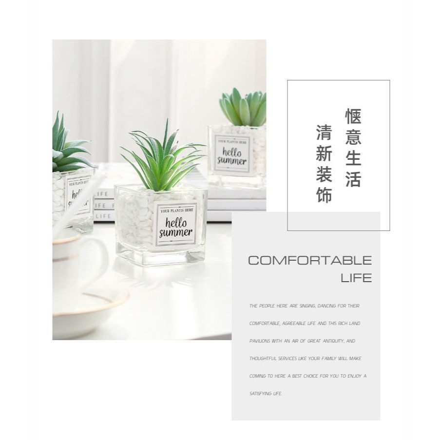 仿真多肉仙人掌創意盆栽裝飾綠色假花辦公室桌面小擺件-細節圖2