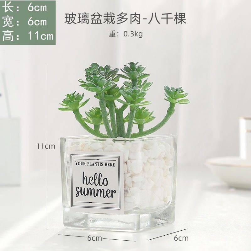 仿真多肉仙人掌創意盆栽裝飾綠色假花辦公室桌面小擺件-規格圖8