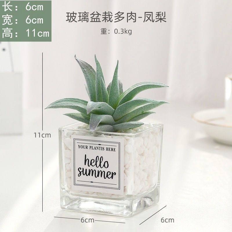 仿真多肉仙人掌創意盆栽裝飾綠色假花辦公室桌面小擺件-規格圖8