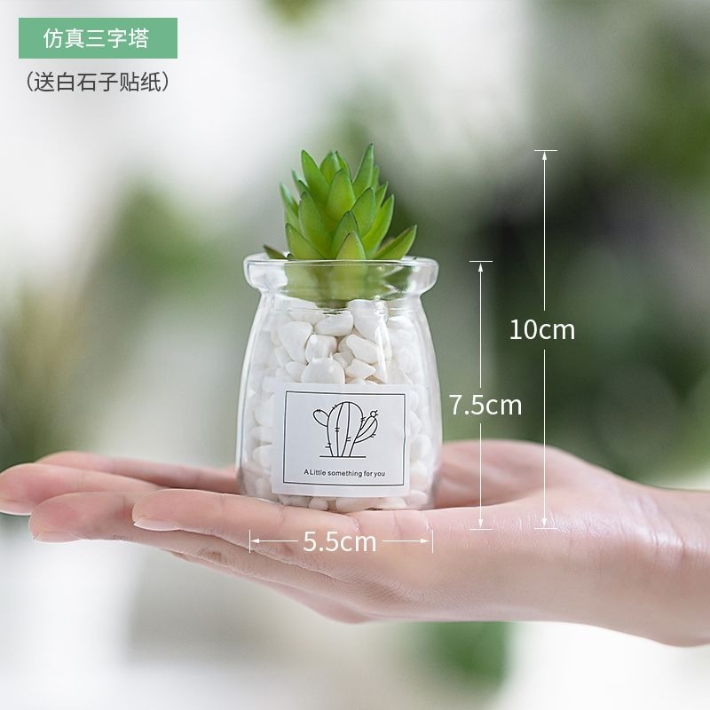 北歐盆栽風假多肉模擬植物簡約裝飾花桌面綠植吊墜室內客廳-細節圖6