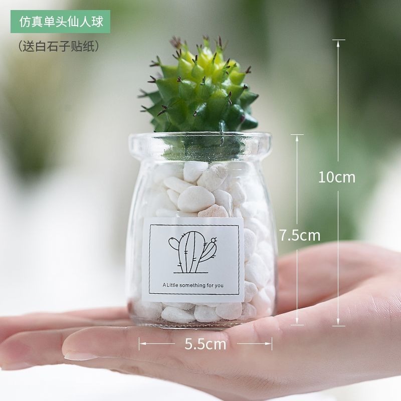 北歐盆栽風假多肉模擬植物簡約裝飾花桌面綠植吊墜室內客廳-細節圖5