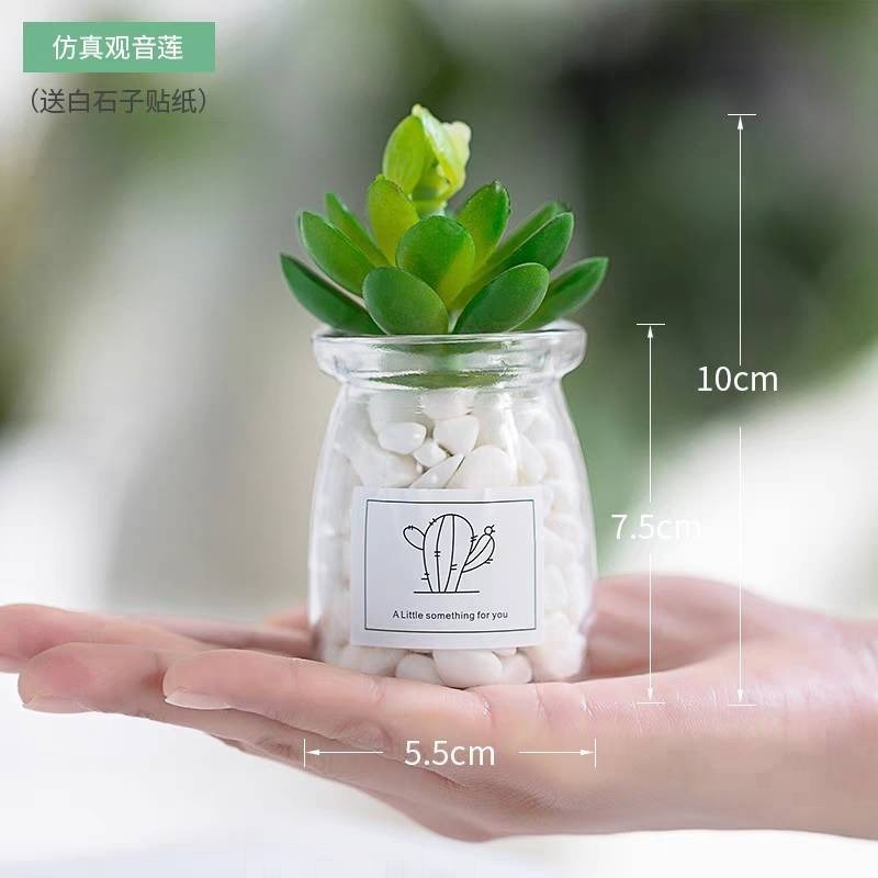 北歐盆栽風假多肉模擬植物簡約裝飾花桌面綠植吊墜室內客廳-規格圖7