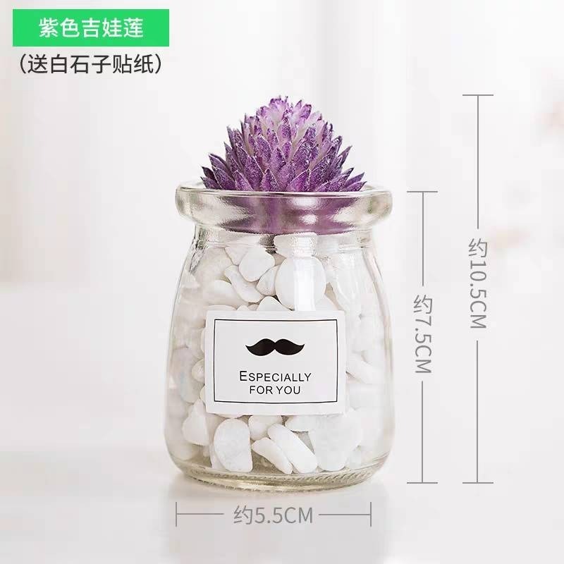 北歐盆栽風假多肉模擬植物簡約裝飾花桌面綠植吊墜室內客廳-規格圖7