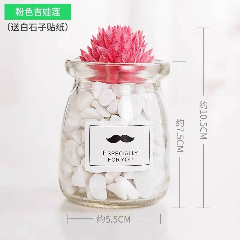 北歐盆栽風假多肉模擬植物簡約裝飾花桌面綠植吊墜室內客廳-規格圖7