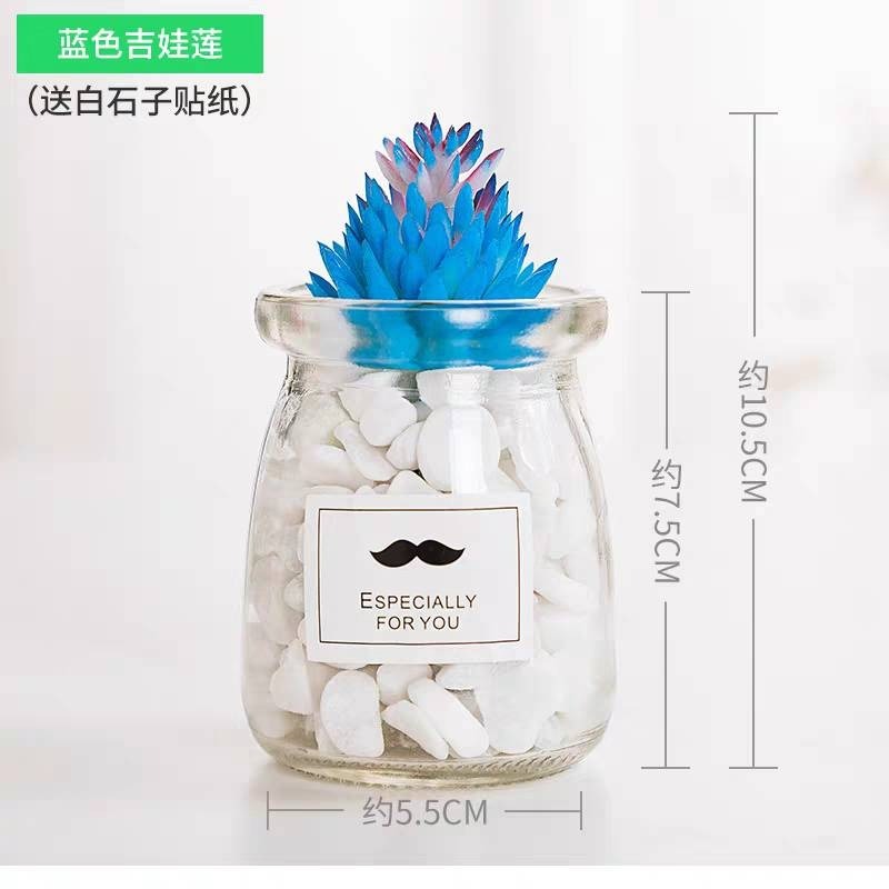 北歐盆栽風假多肉模擬植物簡約裝飾花桌面綠植吊墜室內客廳-規格圖7