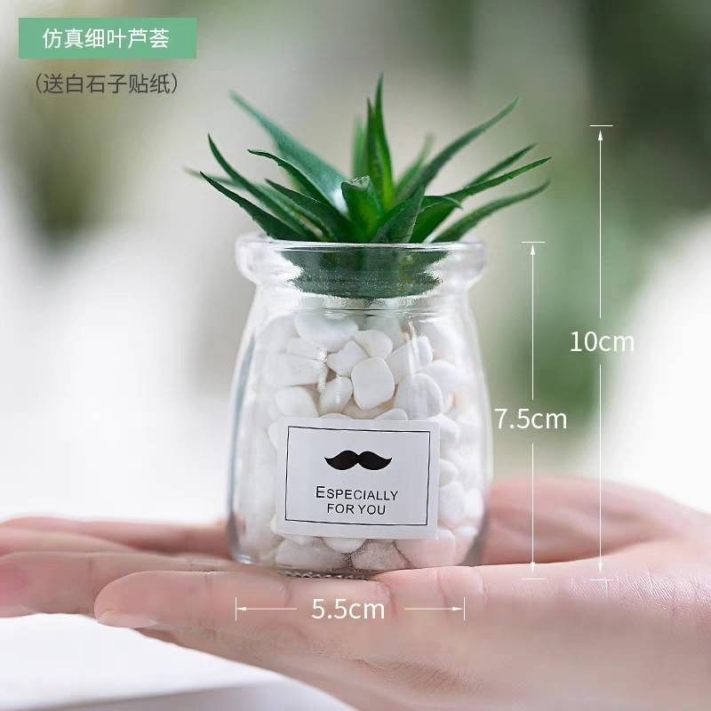 北歐盆栽風假多肉模擬植物簡約裝飾花桌面綠植吊墜室內客廳-規格圖7