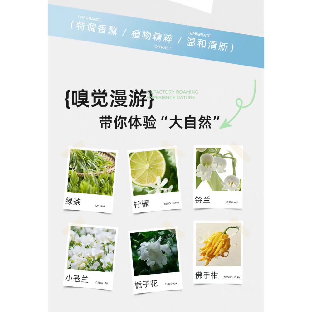 【現貨直發】ThALO 冰透罐｜韓風氣氛香氛 居家香氣佈置-細節圖3