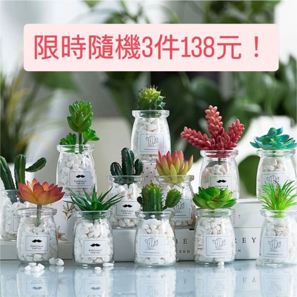 INS風療癒小盆栽|3入優惠組|桌面佈置神器|交換禮物小物-細節圖2