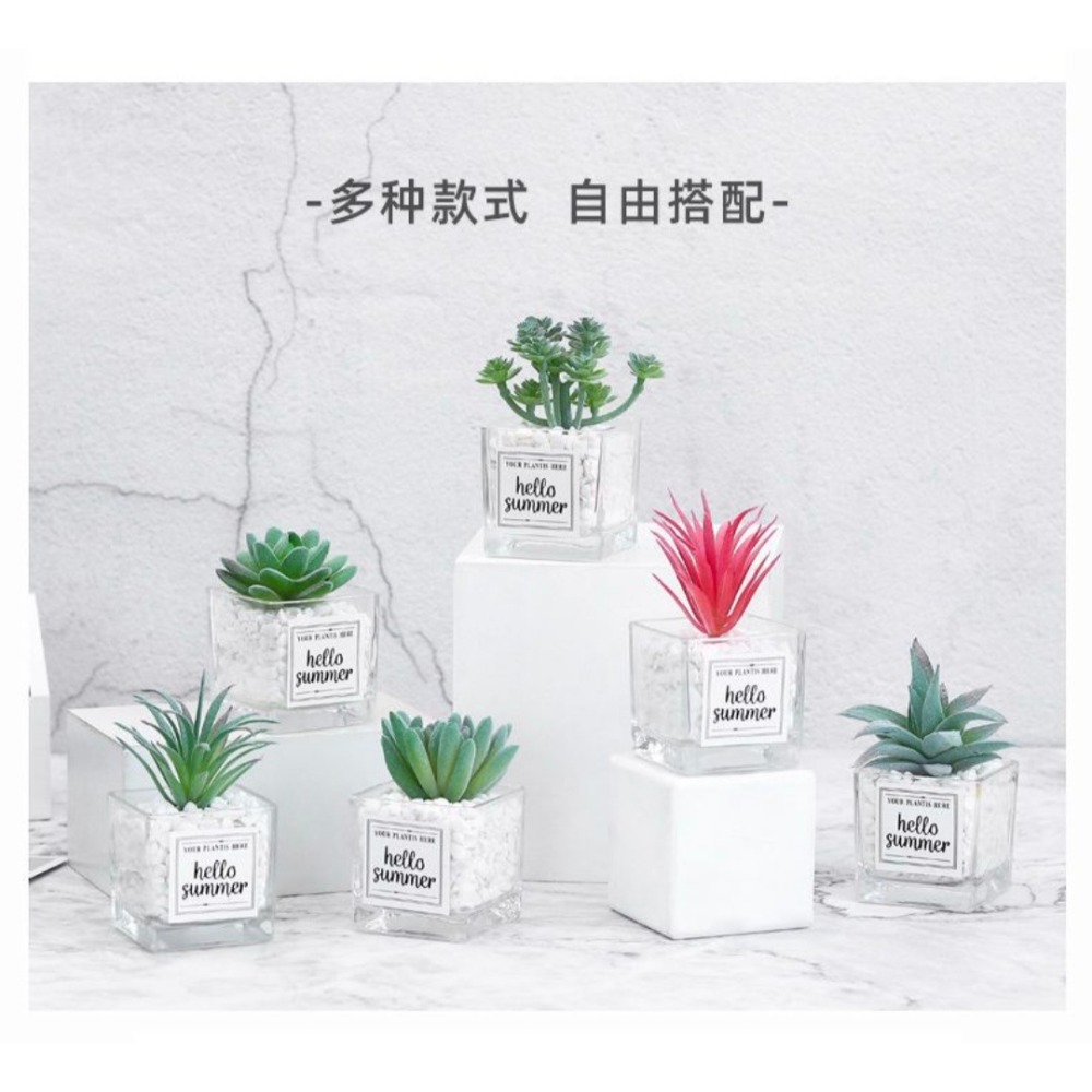 INS風療癒小盆栽|3入優惠組|桌面佈置神器|交換禮物小物-細節圖4