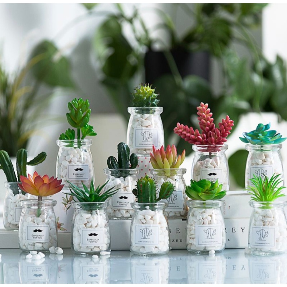 INS風療癒小盆栽|3入優惠組|桌面佈置神器|交換禮物小物-細節圖5