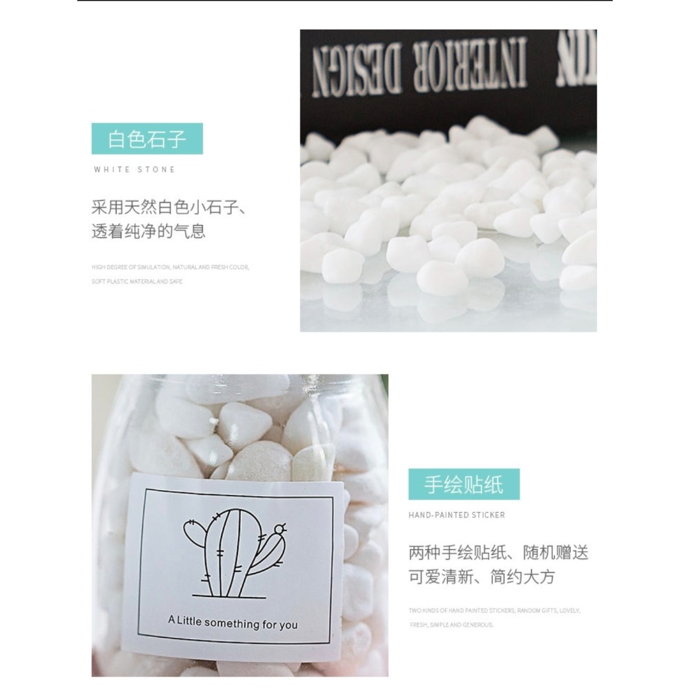 INS風療癒小盆栽|3入優惠組|桌面佈置神器|交換禮物小物-細節圖7