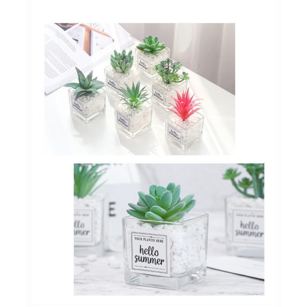 INS風療癒小盆栽|3入優惠組|桌面佈置神器|交換禮物小物-細節圖8