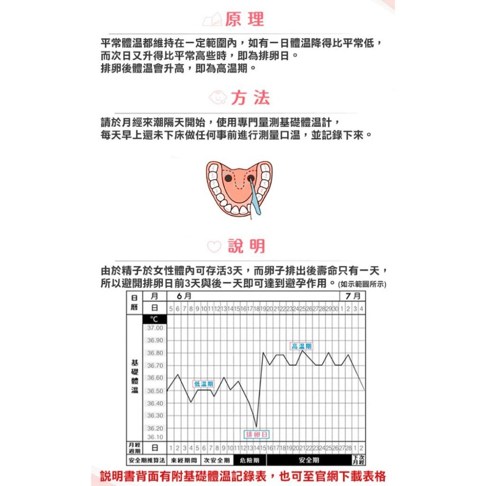 【Geonic】北群婦女基礎電子軟頭體溫計(MT-B231F)-細節圖3