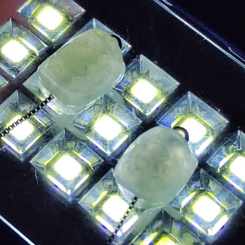🐢富甲一方🐢天然緬甸玉 A貨 翡翠-龜殼 造型 耳線/耳墬/耳飾 銀飾 玉龜殼 現貨特惠【92jade】龜殼耳飾 玉耳線-細節圖5