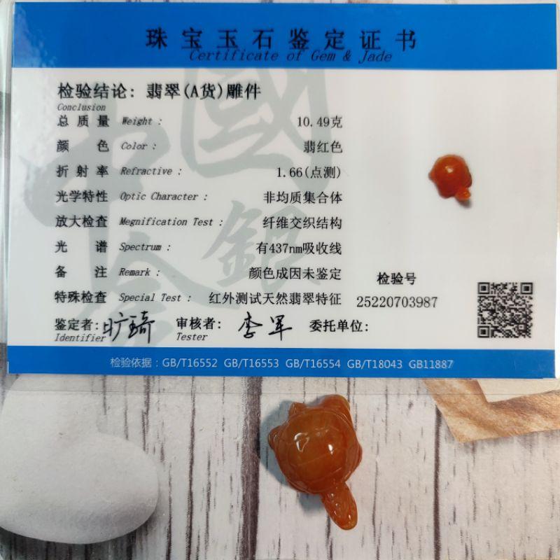 🐢長壽吉祥🐢天然緬甸玉A貨翡翠-紅翡 立體精雕 龜 烏龜 長壽龜 附證書【92jade就愛翡翠】現貨 翡翠烏龜玉佩玉墬-細節圖9
