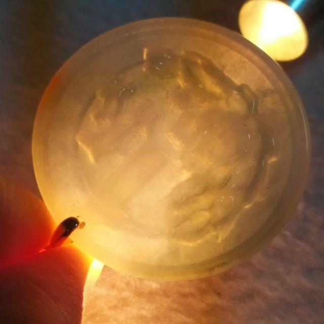 💰一個億💰天然緬甸玉 A貨翡翠-飄蘭花灑金 精雕 一個億 錢幣墬【92jade 遇見善緣】現貨特惠-細節圖3