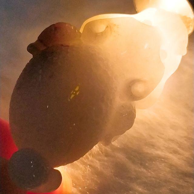 🐸招財避邪🐸天然緬甸玉 A貨翡翠-冰飄紅花 精雕 蟾 蟾蜍 玉蟾 三腳蟾 三腳金蟾 現貨特價【92jade 遇見善緣】-細節圖4