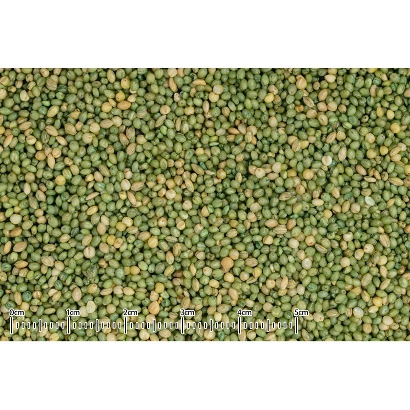 𓅪啾麻雞𓅪【若菜】KP-119（50g）、PF-33（180g）｜日本 黑瀨 自然派宣言 飼料 點心 零食 副食-細節圖2