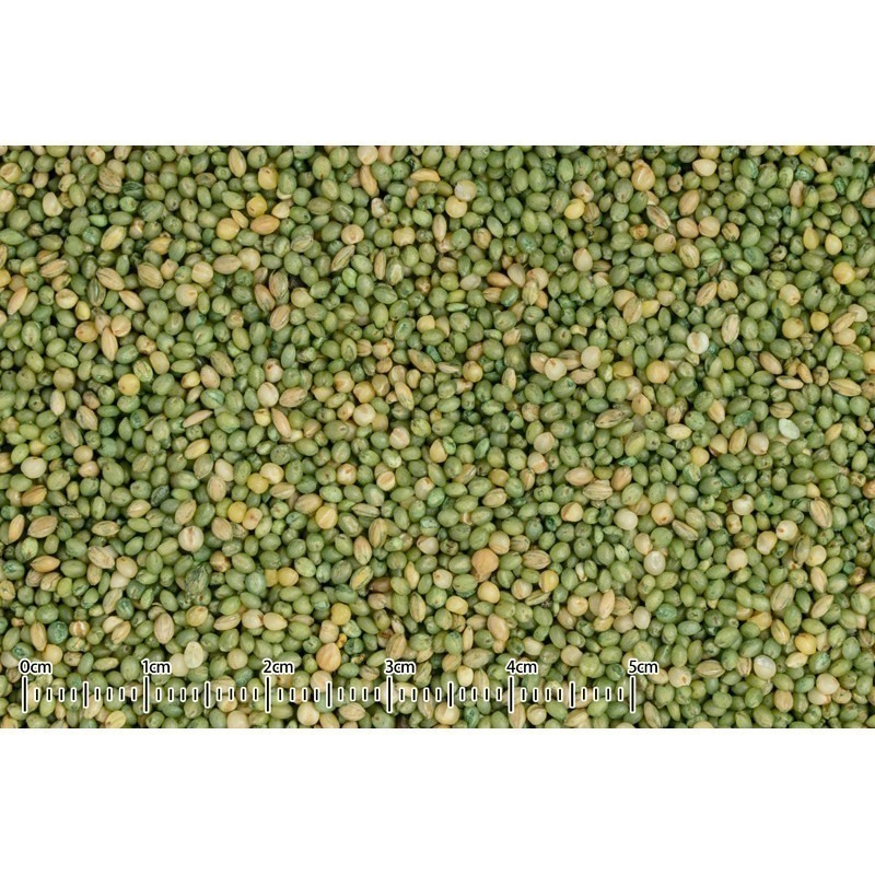 𓅪啾麻雞𓅪【若菜】KP-119（50g）、PF-33（180g）｜日本 黑瀨 自然派宣言 飼料 點心 零食 副食-細節圖2