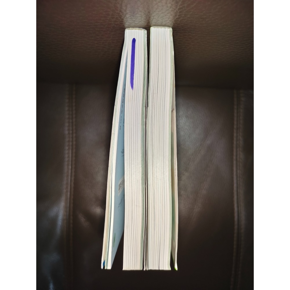 二手成語書兩本-細節圖3