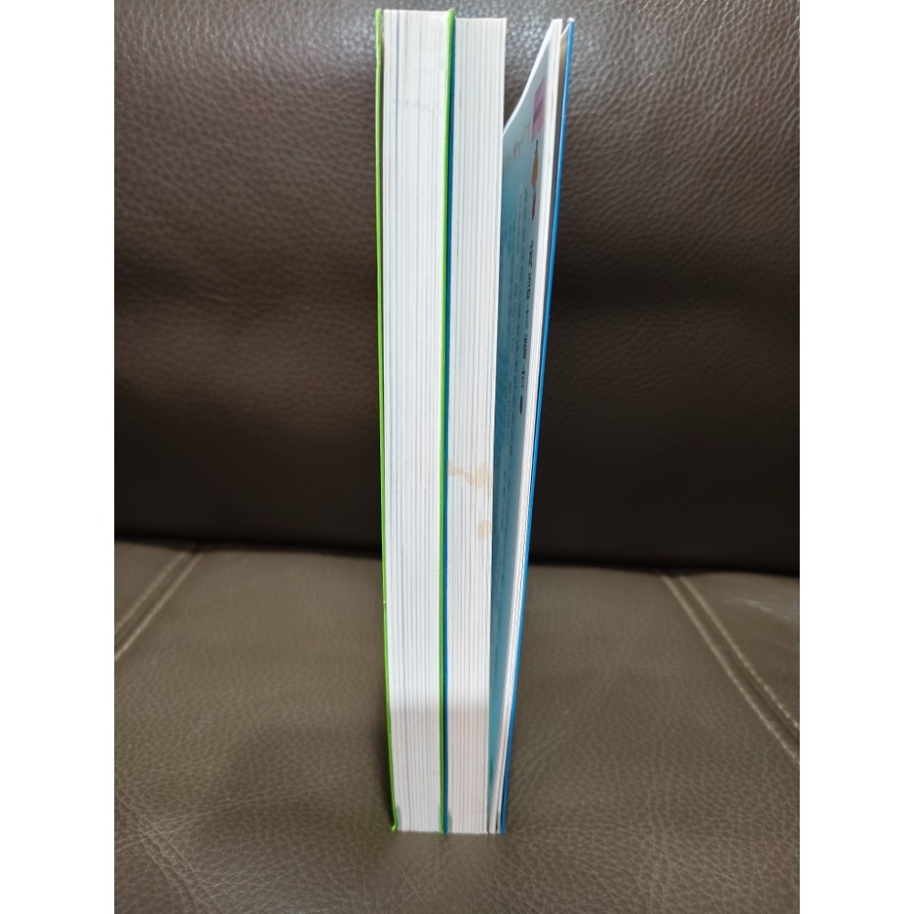 二手成語書兩本-細節圖4