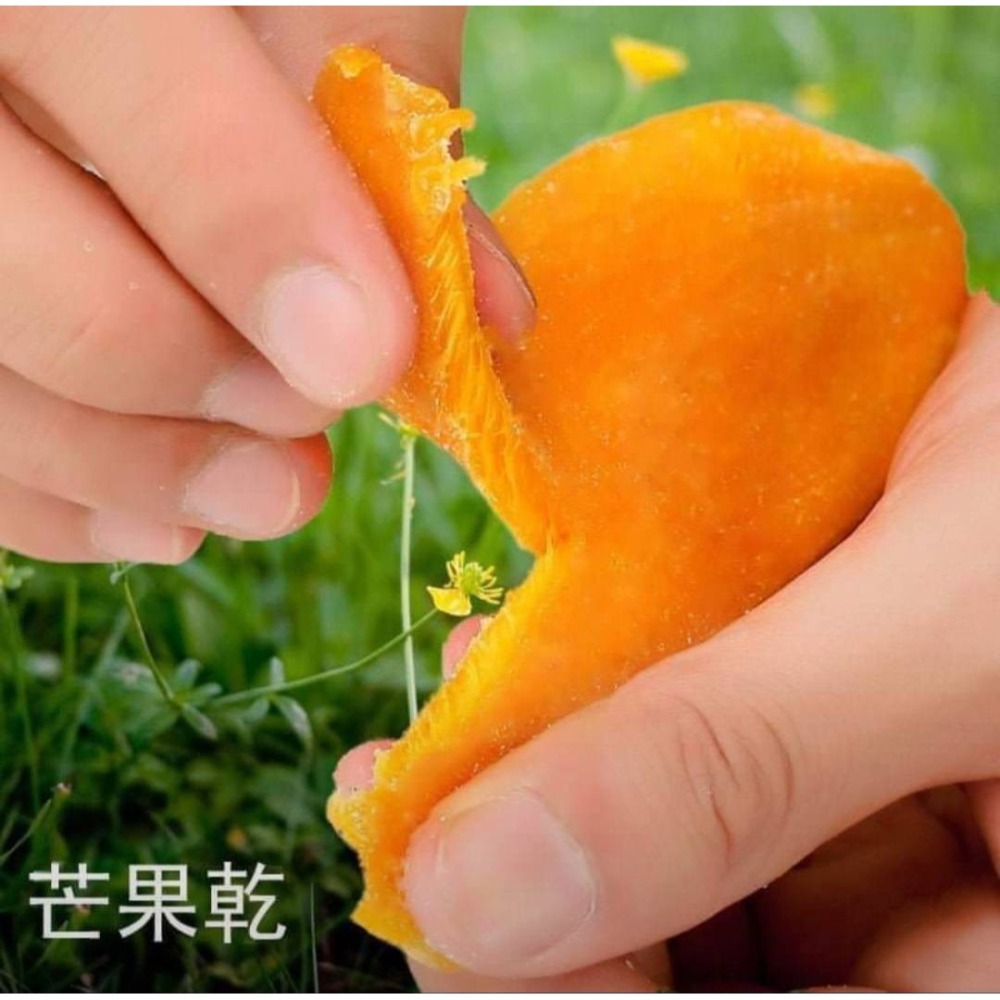 台灣芒果乾-細節圖4