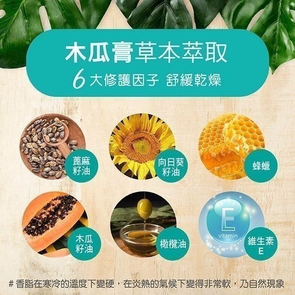 Healthy Care澳世康 木瓜膏 30g/條  維康 台灣唯一代理 澳洲生產進口-細節圖4