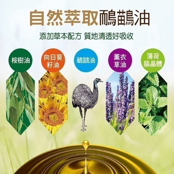 （特價中）Healthy Care澳世康 鴯鶓油 100ml/瓶  (台灣唯一正品代理) 免運 澳洲進口228-細節圖5