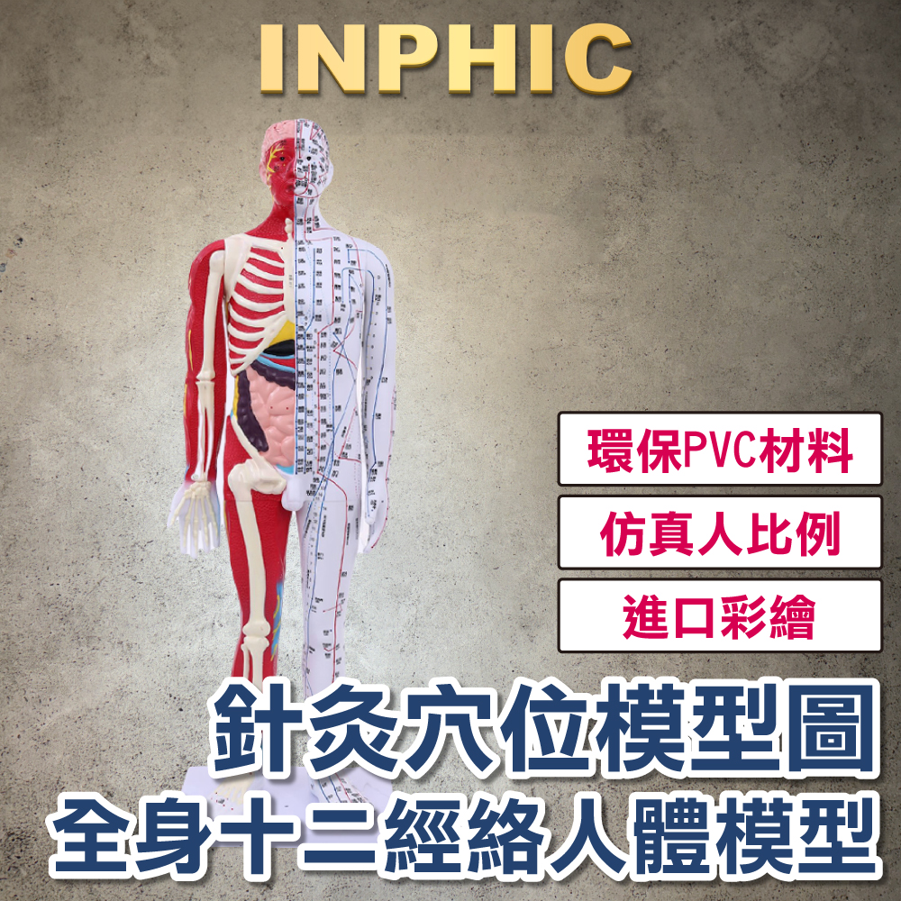 INPHIC-80CM中醫針灸人形 全身十二經絡 專業教具 人體解剖 銅人穴位模型-INFH102104A