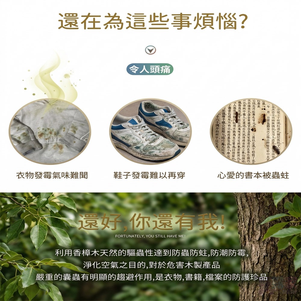 【日本熱銷】天然純木防霉除味樟木棒(1包5入裝) ｜告別霉味，居家清新好幫手！-細節圖8