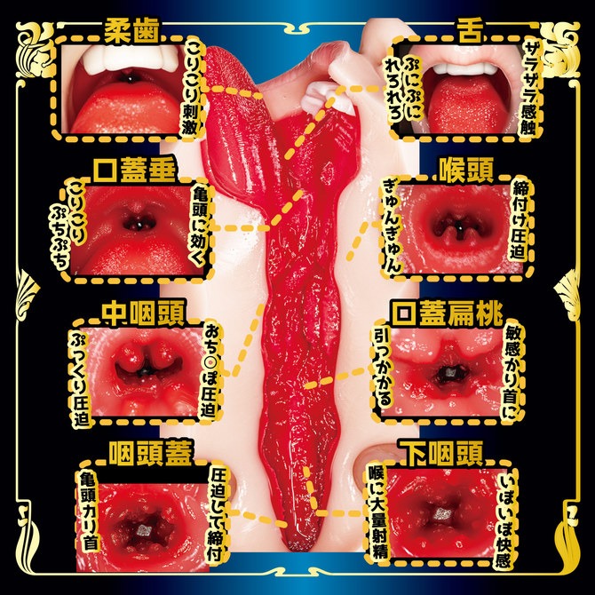 NPG｜18禁口交 用嘴巴進行侍奉2 名器飛機杯 自慰套 370g-細節圖7