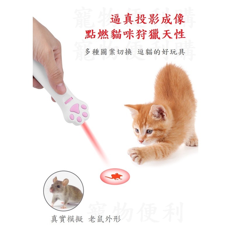 【寵物用品】 寵物玩具 逗貓棒 LED 發光 可切六種不同圖案 /粉色-細節圖4