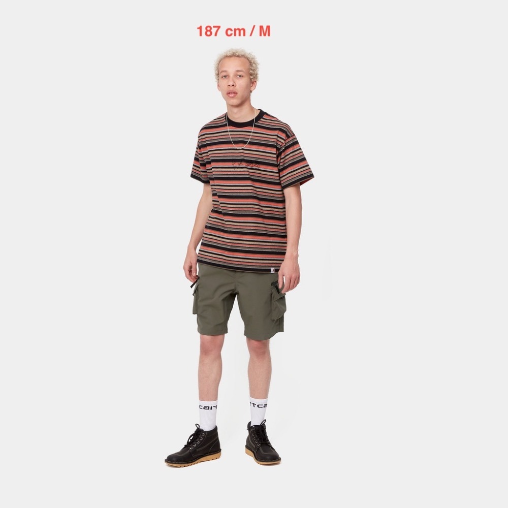 《4/15》台灣公司貨 23SS Carhartt WIP Elmwood Short 機能短褲 黑 綠 淺卡其-細節圖3