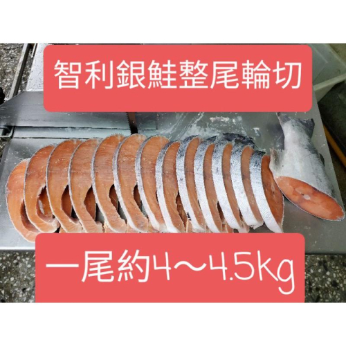 板橋阿禧鮮魚行 鮭魚輪切 整尾出售 鮭魚 智利鮭魚 銀鮭