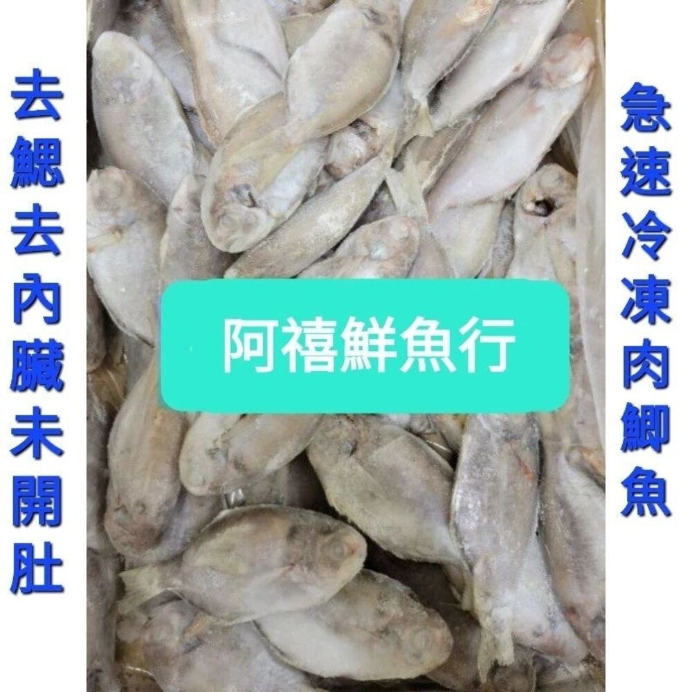 板橋阿禧鮮魚行 團膳 餐廳 自助餐 吳郭魚 白口 肉魚 白鯧 鱈魚 現貨-規格圖1