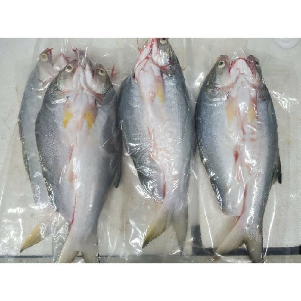 板橋阿禧鮮魚行 午仔魚  蝴蝶切 現貨-細節圖2