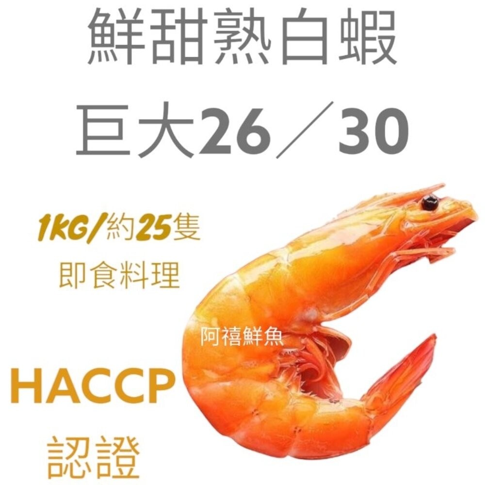 板橋阿禧鮮魚行 熟白蝦 現抓起來馬上蒸煮蝦肉新鮮Q彈 蝦 現貨-細節圖2