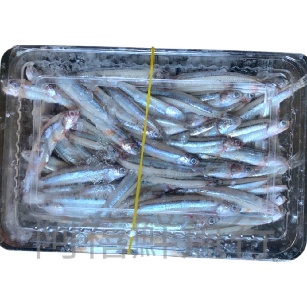 板橋阿禧鮮魚行台灣 丁香魚 300-350g  全站799元免運費 現貨-規格圖1