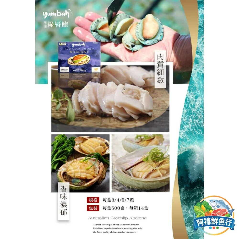 板橋阿禧鮮魚行【生食級澳洲綠唇鮑魚】鮑魚  全站799元免運費 現貨-細節圖2