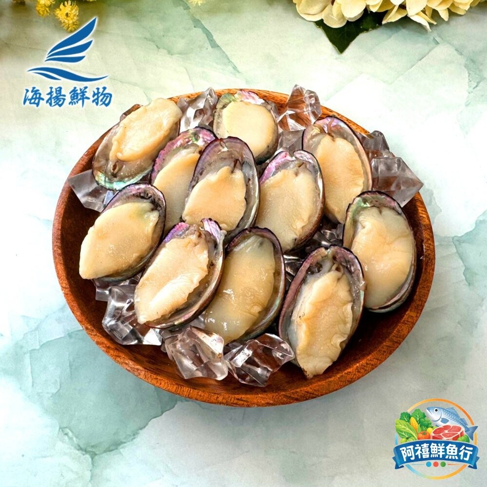 板橋阿禧鮮魚行小顆  九孔  可做塔香九孔/醬醃九孔  全站799元免運費 現貨-細節圖3