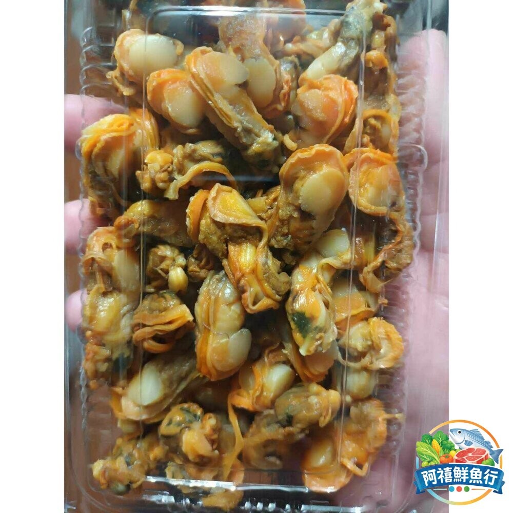 板橋阿禧鮮魚行澎湖新鮮現挖肥美 螺肉  全站799元免運費 現貨-細節圖3