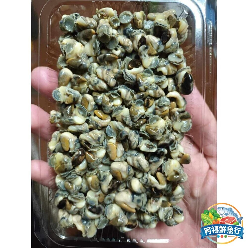 板橋阿禧鮮魚行紅蚵 澎湖在地人很愛吃的隱藏版美食 野生採集限量  全站799元免運費 現貨-細節圖4