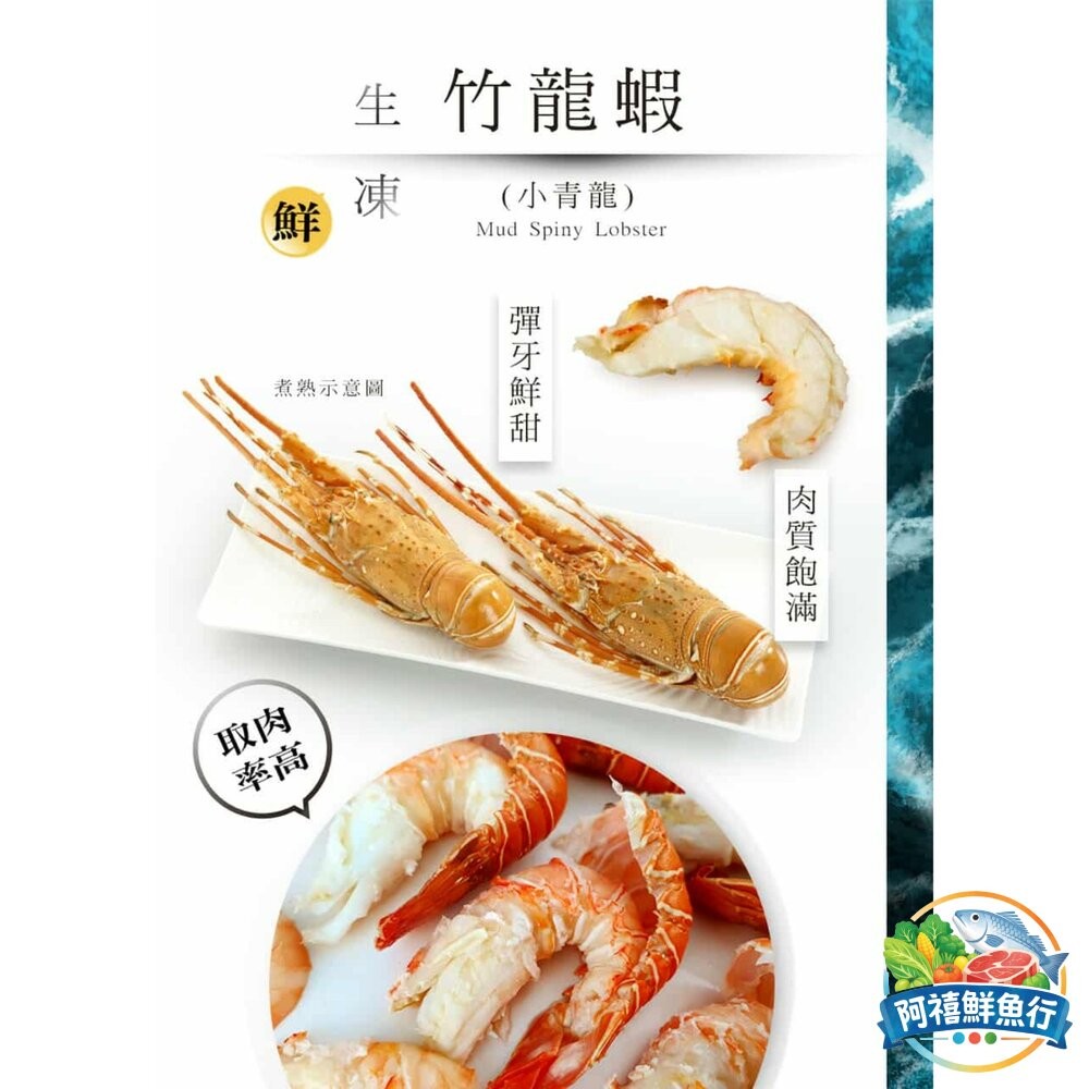 板橋阿禧鮮魚行竹龍蝦 生鮮速凍 青龍 龍蝦 900-1000G  全站799元免運費 現貨-細節圖2