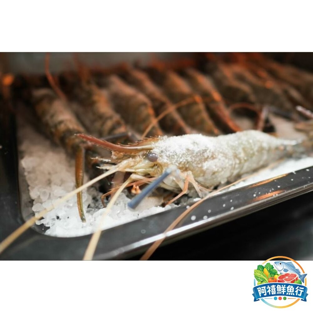 板橋阿禧鮮魚行泰國蝦 急速冷凍 泉水養殖  全站799元免運費 現貨-細節圖3