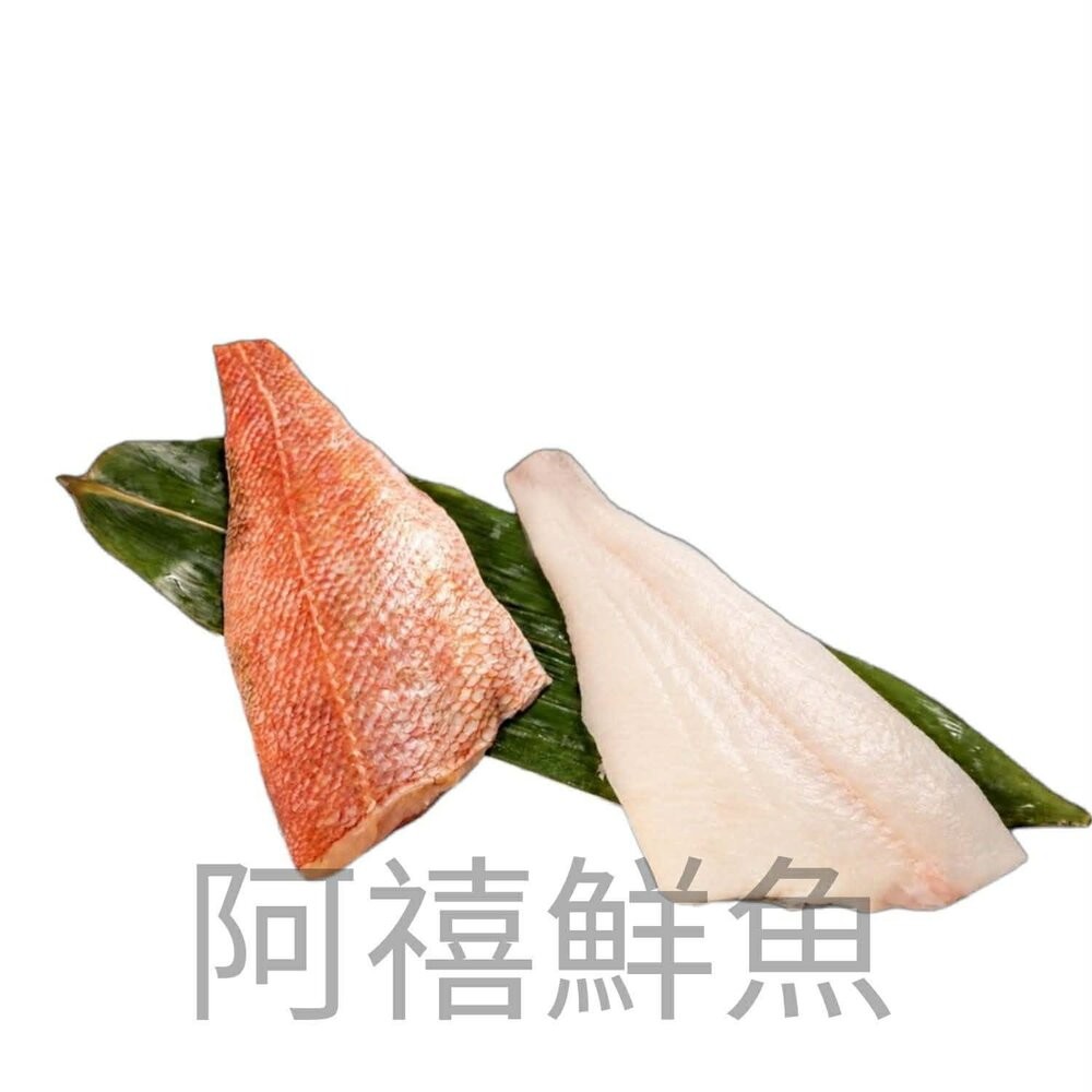 板橋阿禧鮮魚行野生 紅魚片 紅石斑 菲力 300-400G  全站799元免運費 現貨-規格圖1
