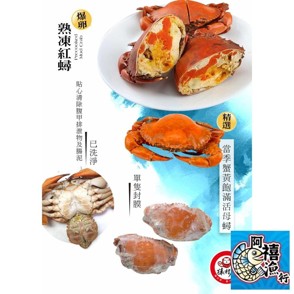 板橋阿禧鮮魚行熟紅蟳  蛋蛋 螃蟹  爆蛋  紅蟳 蟹  全站799元免運費 現貨-細節圖2