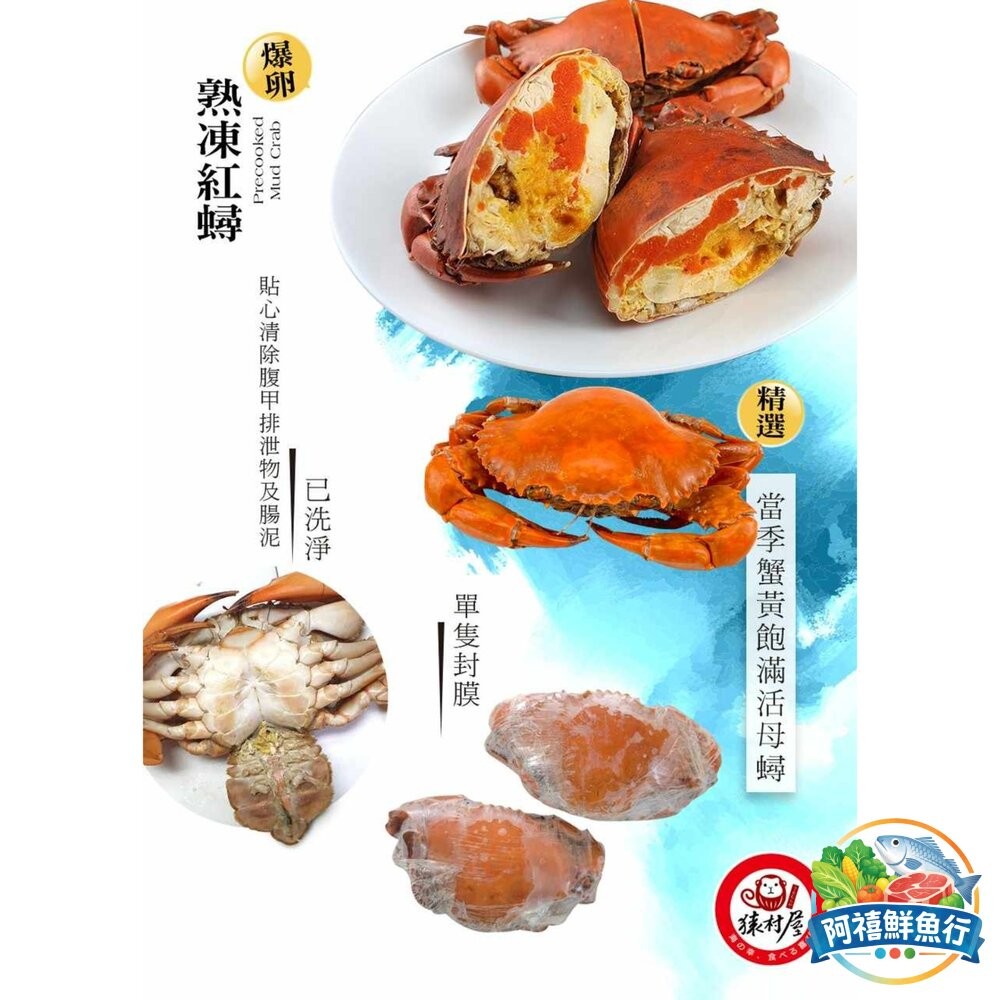 板橋阿禧鮮魚行熟紅蟳  蛋蛋 螃蟹  爆蛋  紅蟳 蟹  全站799元免運費 現貨-細節圖2