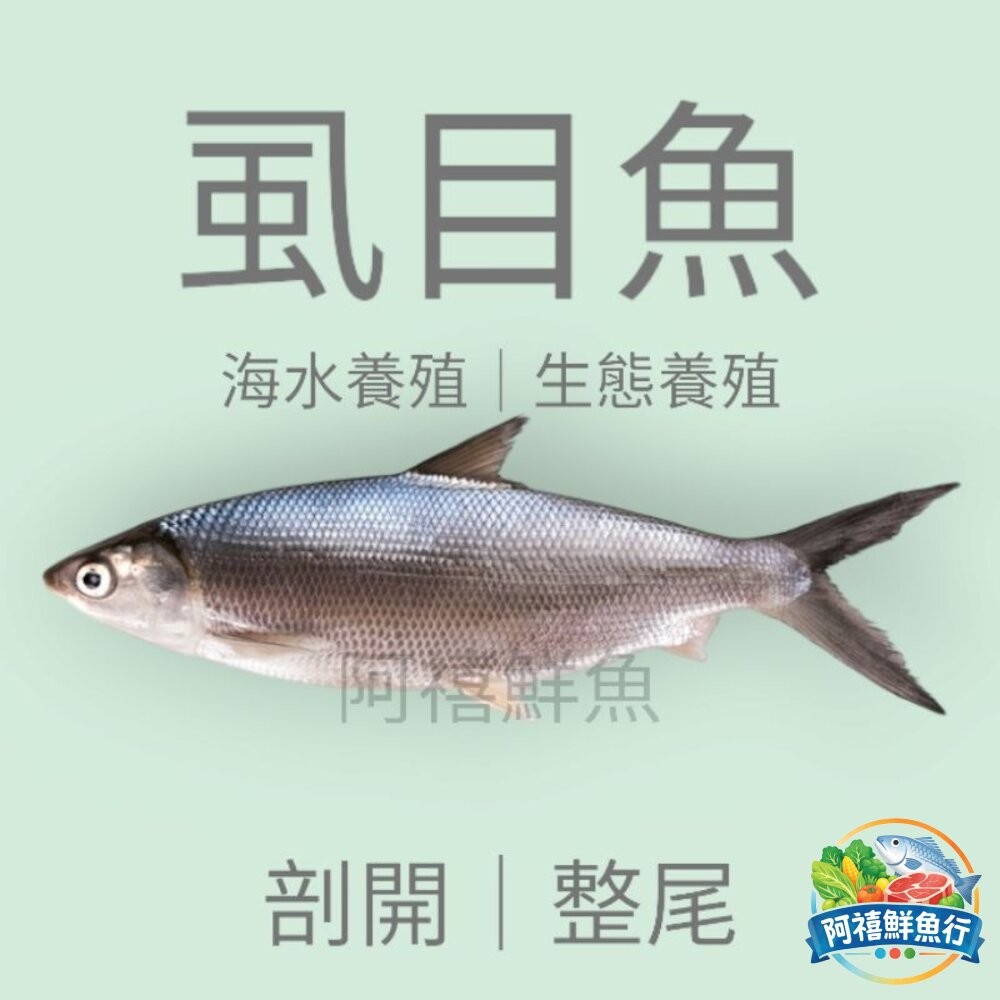 板橋阿禧鮮魚行鹹水 七股 虱目魚  全站799元免運費 現貨